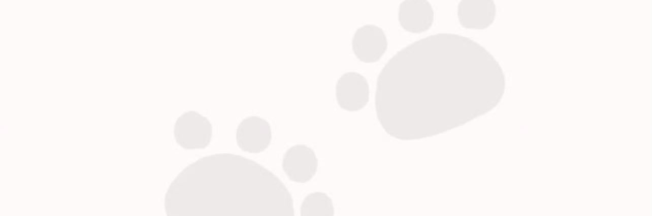 7's banner