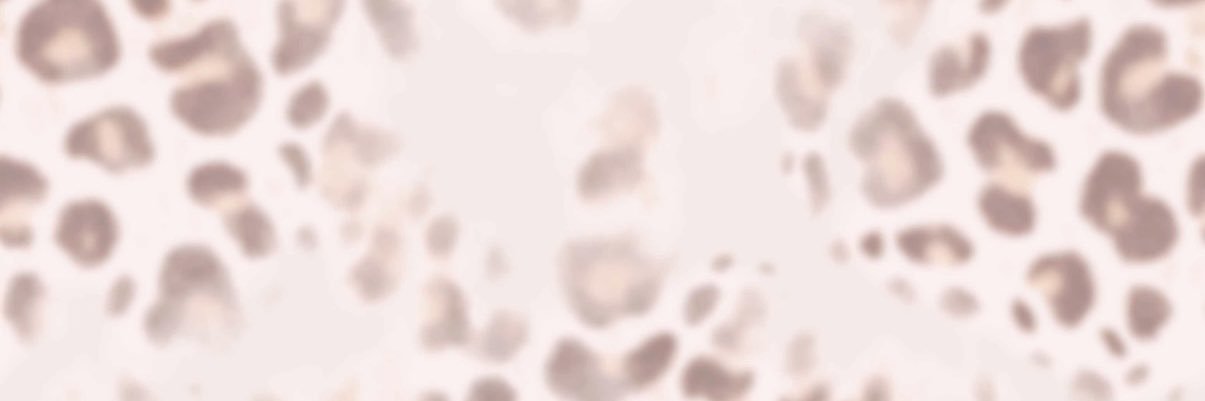 00Meow's banner