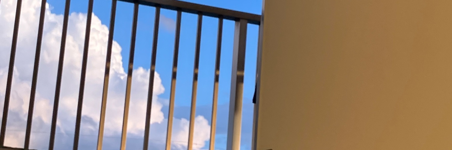 徒立る's banner