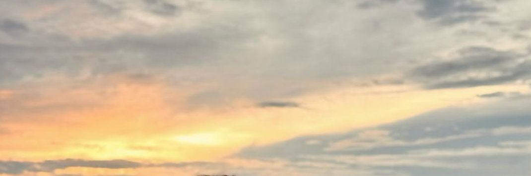traaa's banner