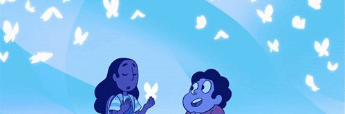 ⭐️Starry🌺's banner