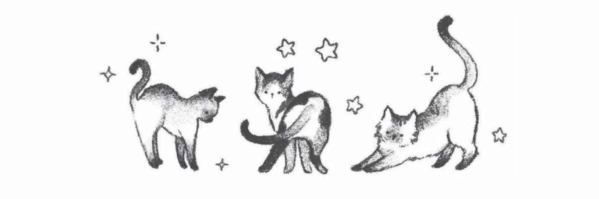 SO's banner