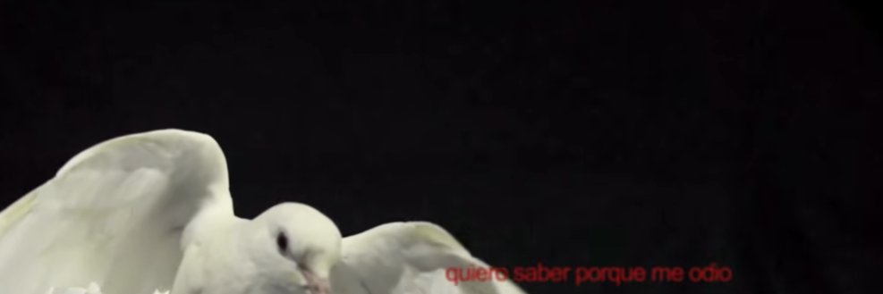 quierosersoloyomismo's banner
