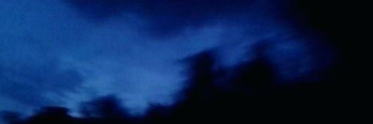Yan 𑣲's banner