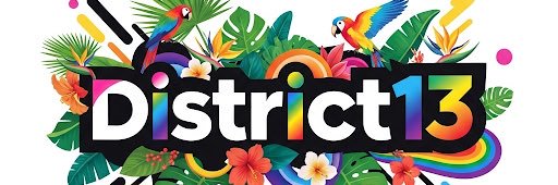 District13party's banner