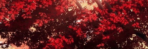 Ima's banner