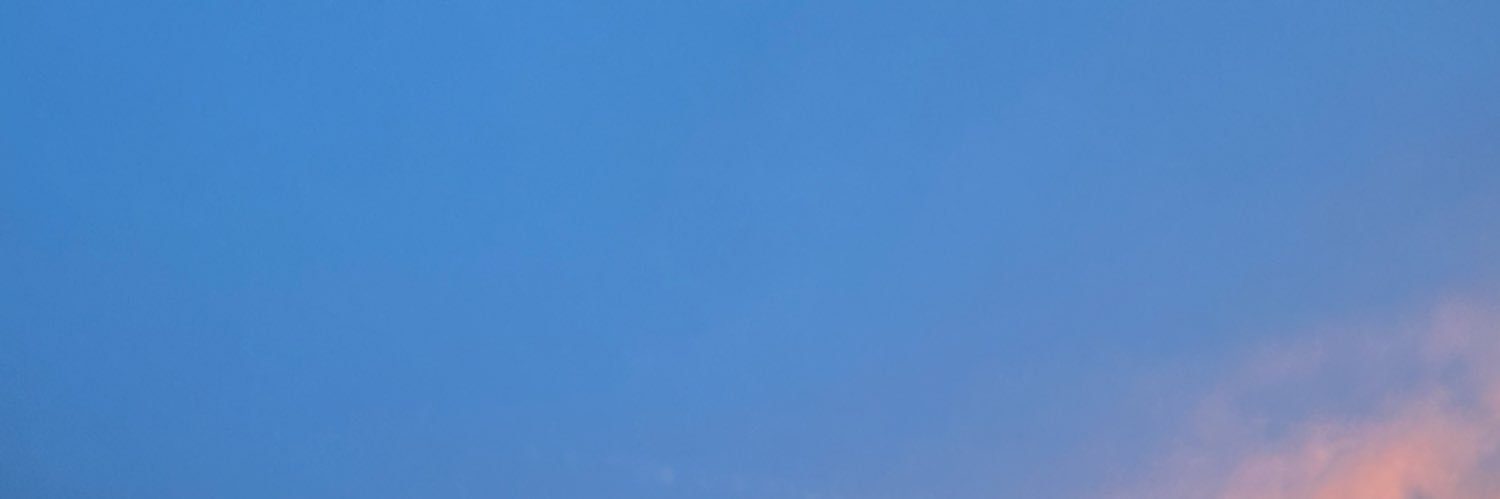 siuuu🇵🇸🧊's banner