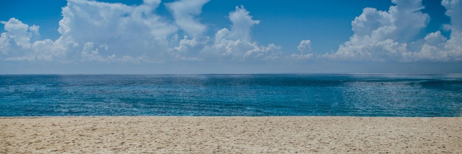Filhotedepapai 🔞's banner