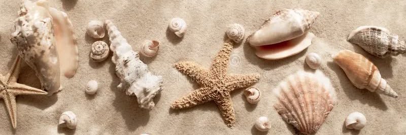 𝐼̇𝓇𝑒𝓂 ོ's banner