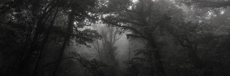 Yeyen.'s banner