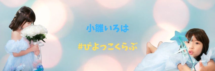 小雛いろは@いろはの日常🐣🩵's banner