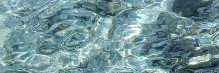 ❁✿❀'s banner