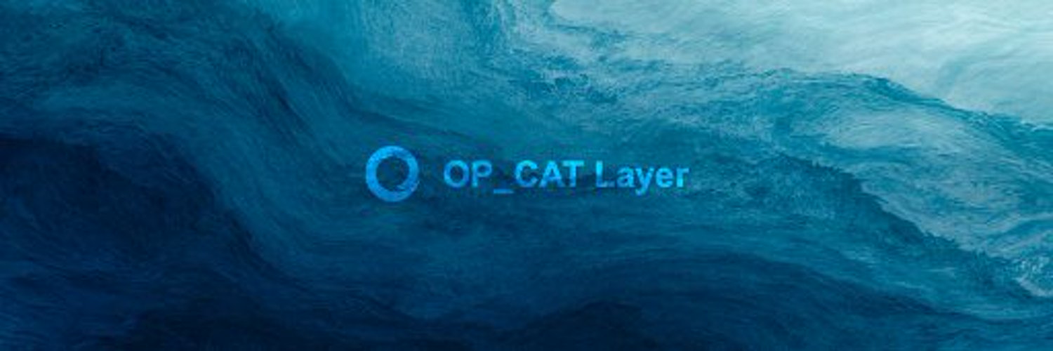 OP_CAT Layer中文's banner