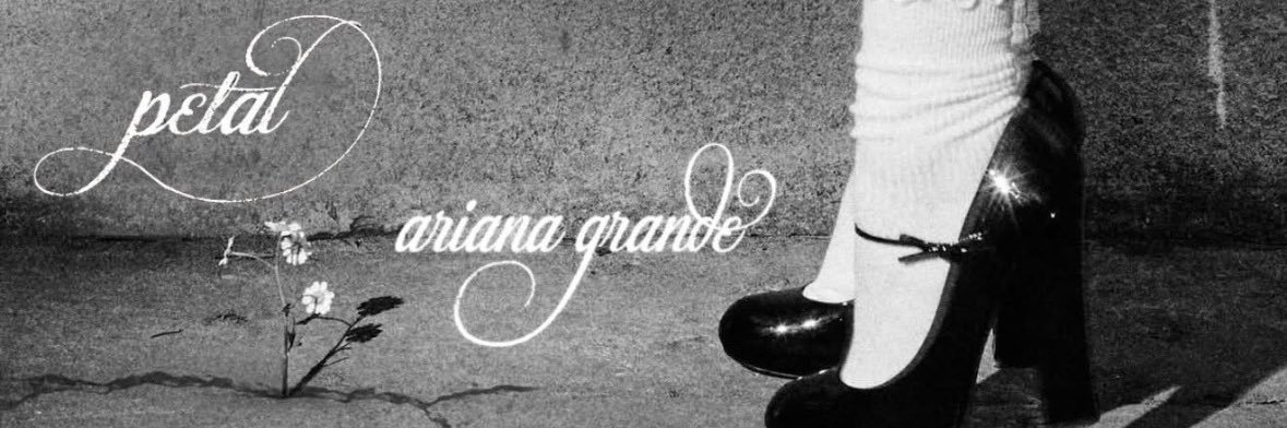 ari ꕤ's banner