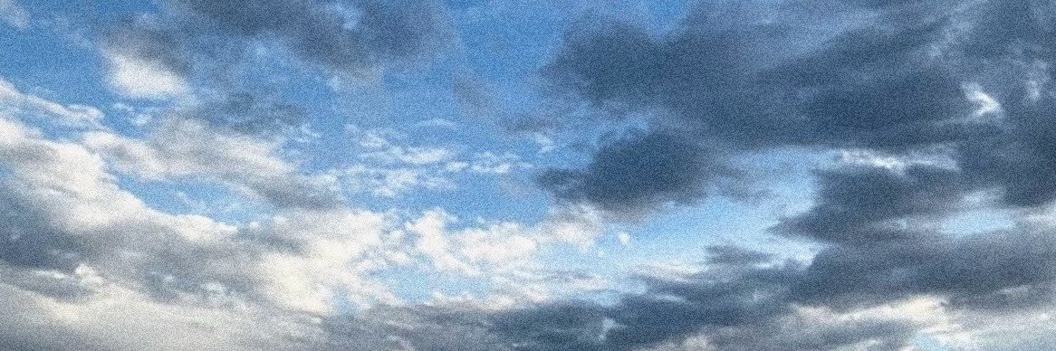 ari ꕤ's banner