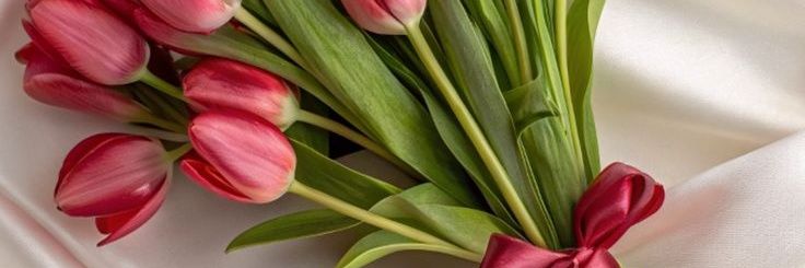 Vip_May's banner