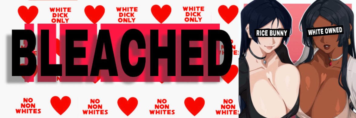 🤍Bleached Enthusiast♥️'s banner