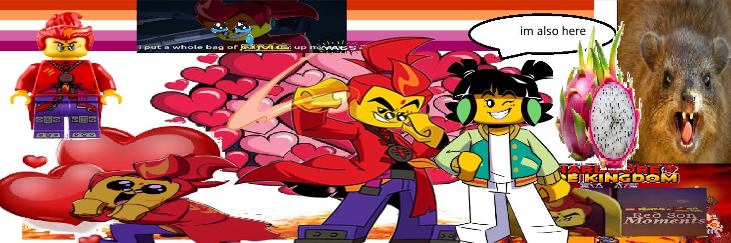 rando🪰 (DNI PROSHIP)'s banner