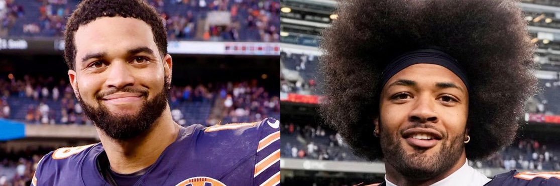BearsShowYo's banner
