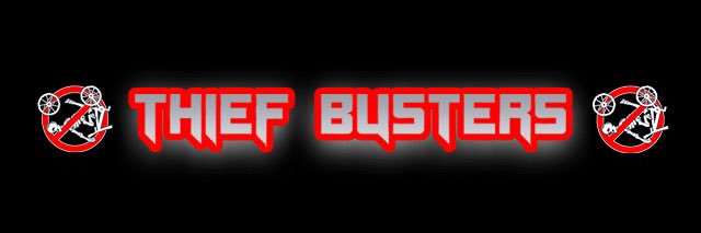 ThiefBusters's banner
