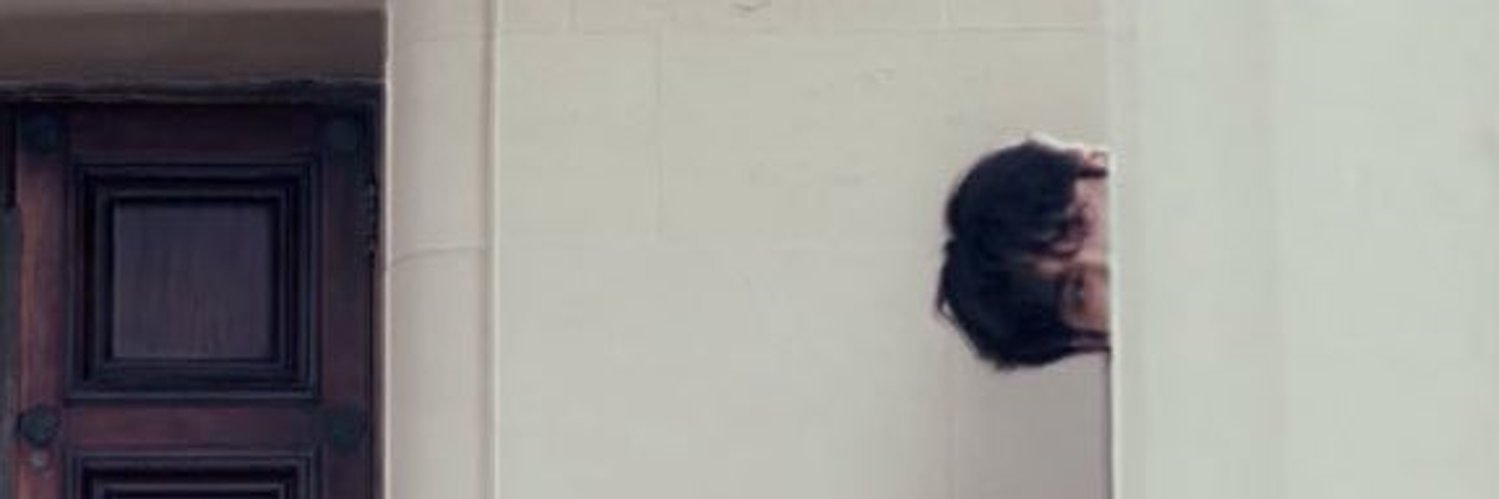 긍정's banner