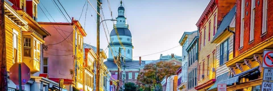 Maryland Republican Party's banner