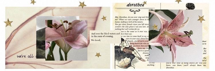 ivy's banner