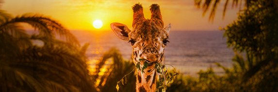 Santa Barbara Zoo's banner