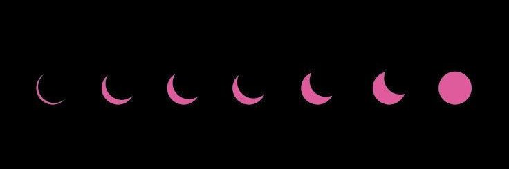 paige𖤐's banner