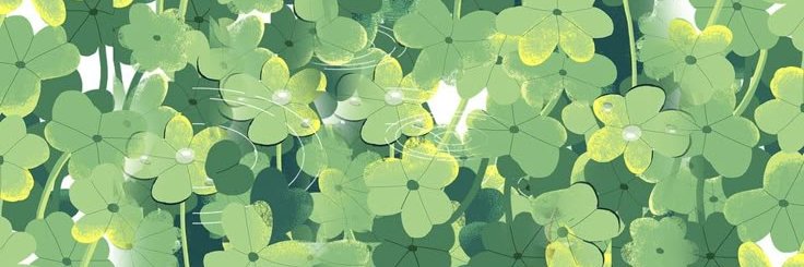 🍀's banner
