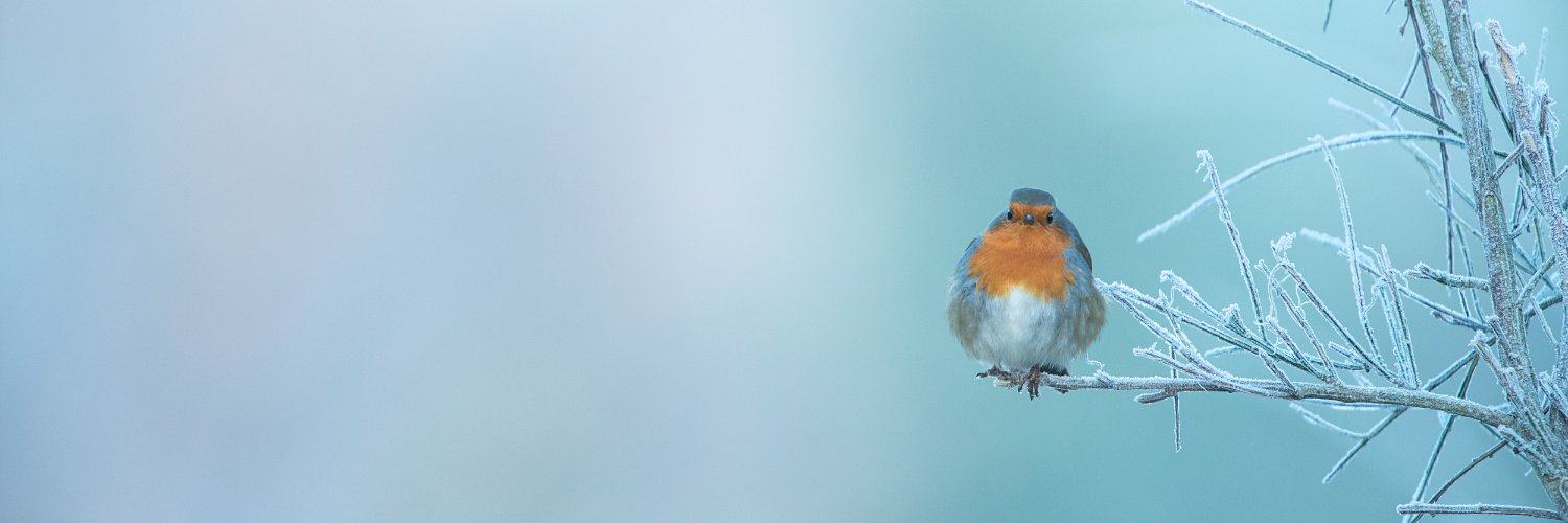 RSPB's banner