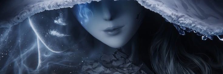 Mlle Lucie's banner