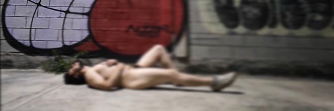 evolve's banner