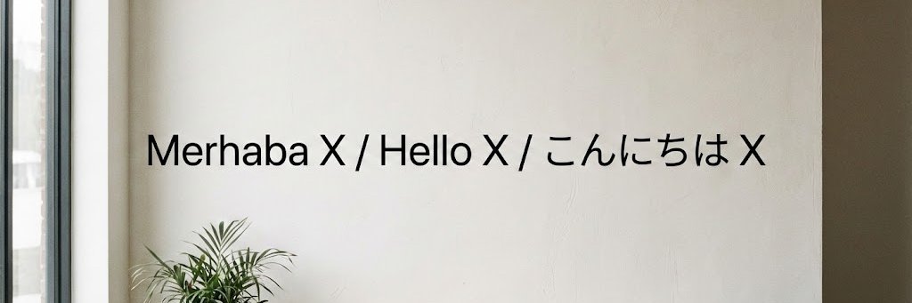 BerkayX's banner