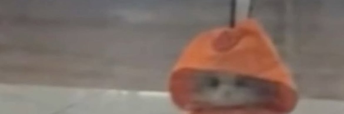 Randyyy's banner
