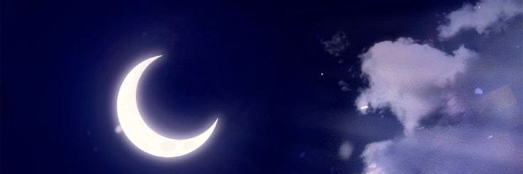 Arii𓍢ִ໋❀'s banner