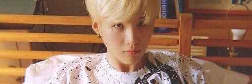 ✿ •'s banner