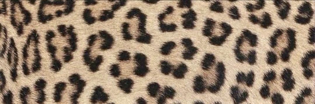 ✿ 𑣿 saw liv !'s banner