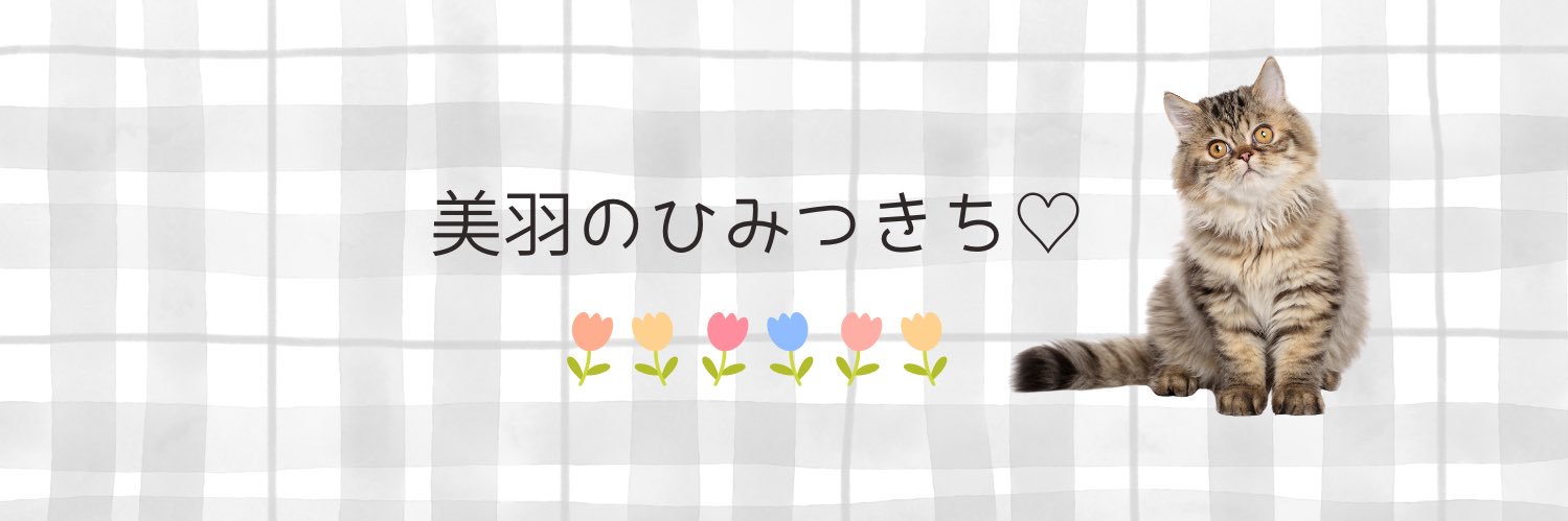 美羽のヒミツの保健室's banner