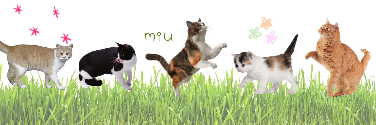 みう（猫好き引きこもり）'s banner