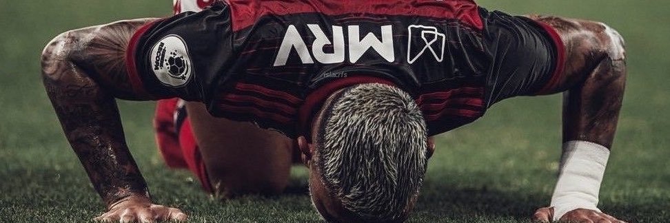 br's banner