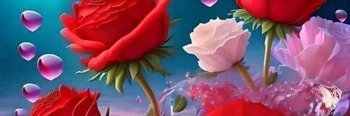 حمد's banner