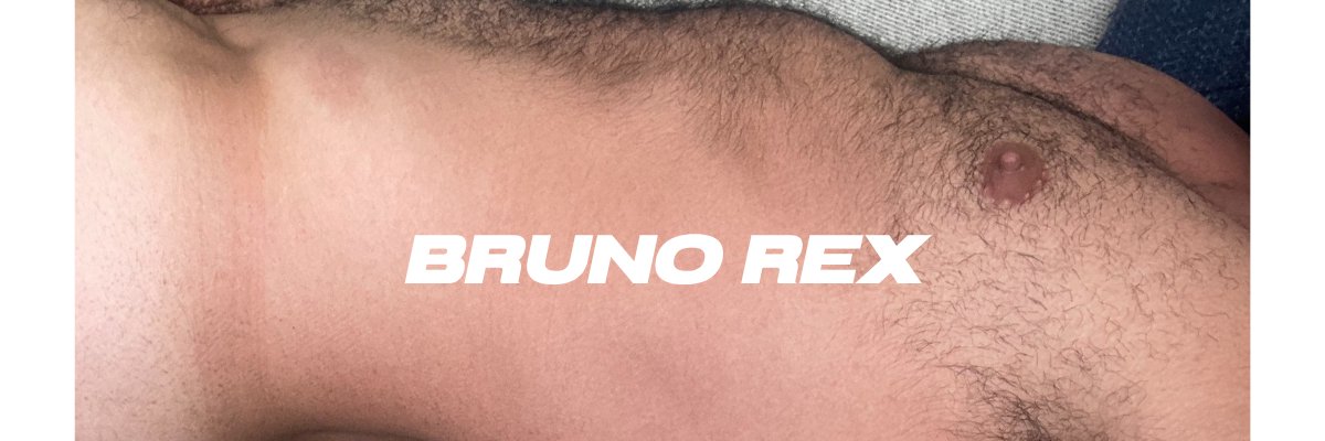 Bruno Rex's banner