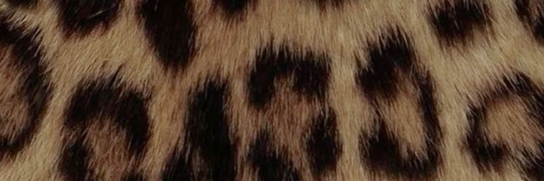 goddess nadia's banner