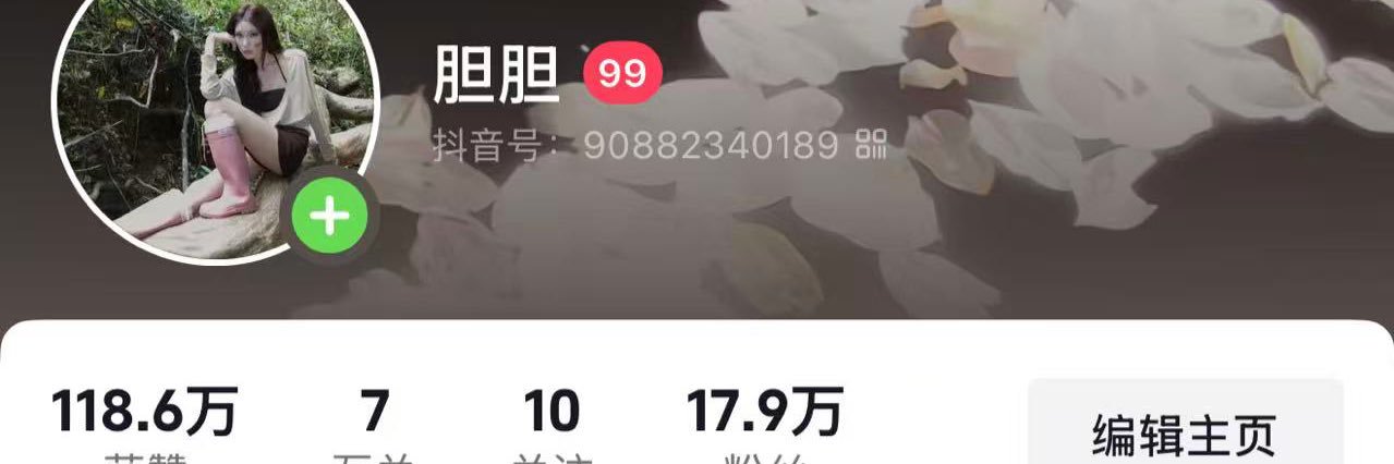 胆胆's banner