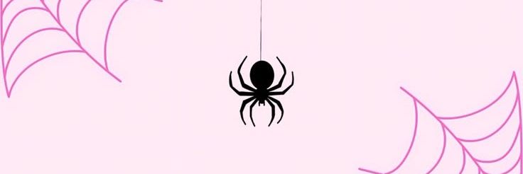 𝑆𝑝𝑖𝑑𝑒𝑟-𝐺𝑤𝑒𝑛 🕸's banner