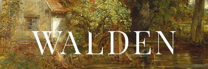 AnaliseGFBPA 🇪🇪🇧🇷's banner