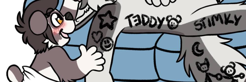 Teddy's banner
