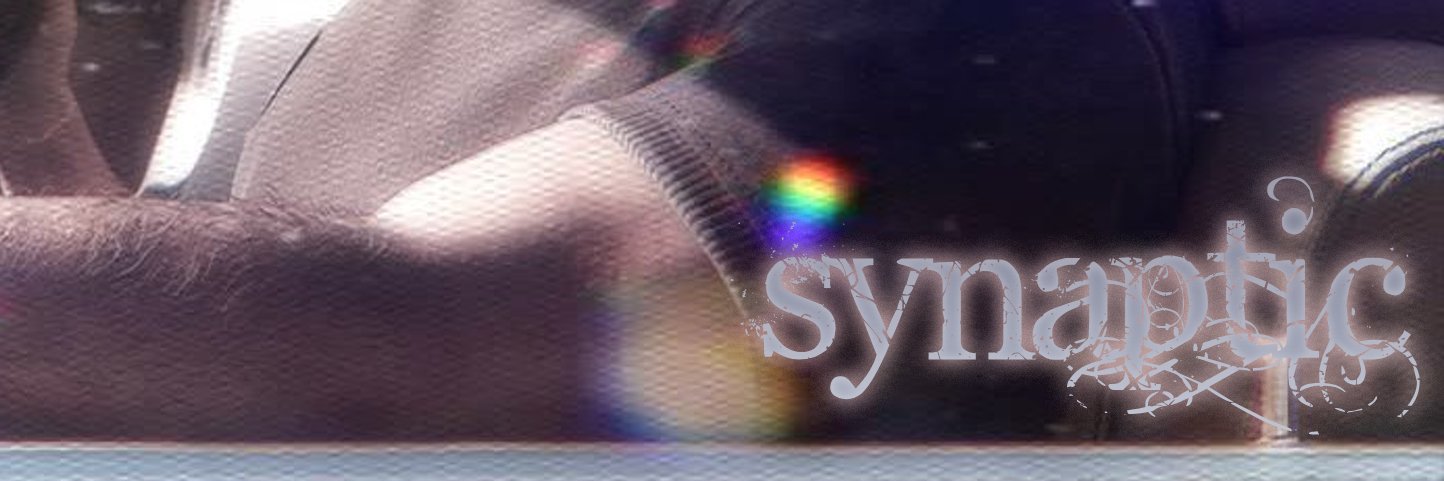 Synaptic's banner