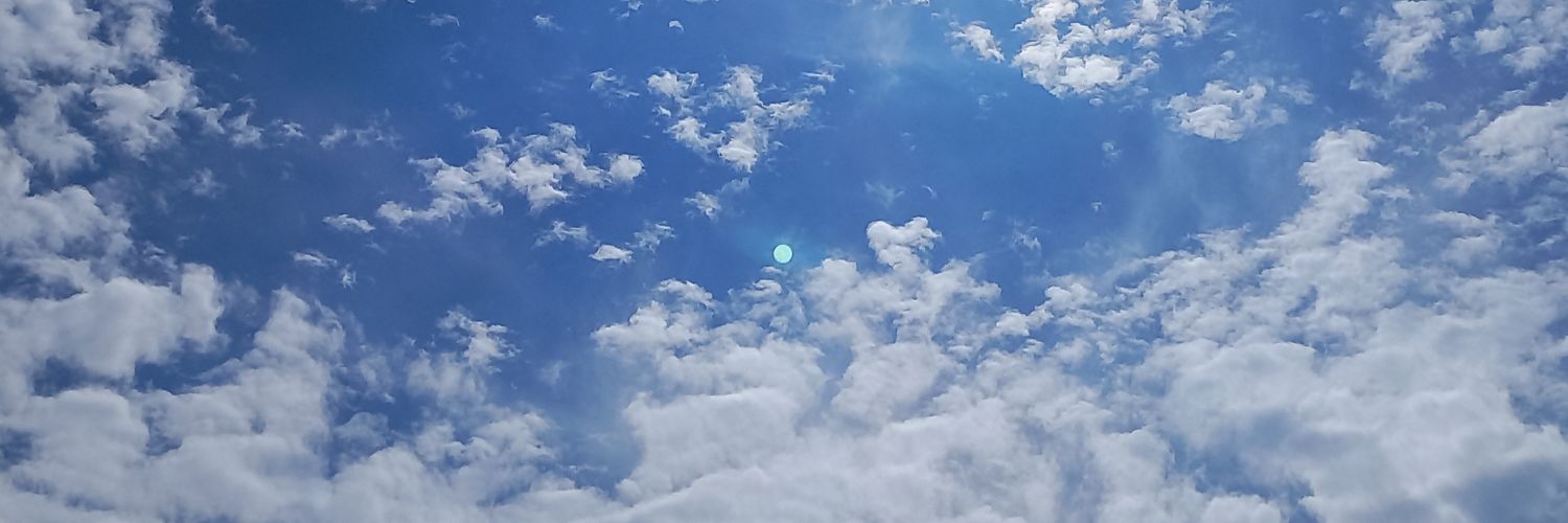 S's banner